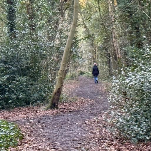 Holt Letheringsett Trail Fork