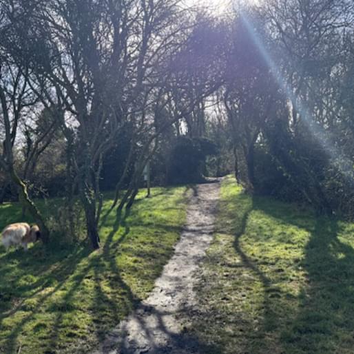 Holt Letheringsett trail Sout Hills path to track